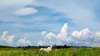 Foto 16 de Fazenda/Sítio à venda, 250000000m² em Zona Rural, Araxá