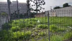 Foto 5 de Lote/Terreno para alugar, 608m² em Centro, Pinhais