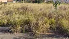 Foto 3 de Lote/Terreno à venda em Jardim Leticia, São Carlos