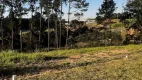 Foto 2 de Lote/Terreno à venda, 125m² em Parque Alexandre, Cotia