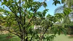 Foto 52 de Fazenda/Sítio com 4 Quartos à venda, 343m² em Jardim Roseira de Cima, Jaguariúna