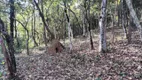 Foto 4 de Lote/Terreno à venda, 875m² em , Brumadinho