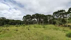 Foto 18 de Fazenda/Sítio com 5 Quartos à venda, 280m² em Borda do Campo, São José dos Pinhais