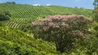 Foto 27 de Fazenda/Sítio à venda, 216000m² em , Conceição do Rio Verde