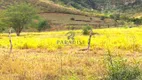 Foto 16 de Fazenda/Sítio à venda, 2730000m² em Zona Rural, Jequié