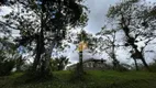 Foto 44 de Fazenda/Sítio com 3 Quartos à venda, 50000000m² em Vila Nova, Joinville