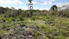 Foto 8 de Fazenda/Sítio à venda, 2000m² em , Campina Grande do Sul