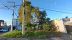 Foto 6 de Lote/Terreno à venda, 160m² em Parque, Farroupilha