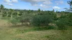 Foto 37 de Fazenda/Sítio com 3 Quartos à venda, 121000m² em Centro, Areia Branca