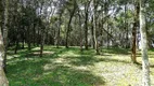 Foto 18 de Fazenda/Sítio à venda, 20000m² em Área Rural de Campo Largo, Campo Largo