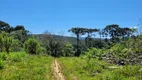 Foto 19 de Fazenda/Sítio à venda, 40000m² em Rio Vermelho Estação, São Bento do Sul