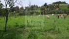 Foto 4 de Fazenda/Sítio com 3 Quartos à venda, 24000m² em Borda da Mata, Caçapava