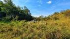 Foto 60 de Fazenda/Sítio com 4 Quartos à venda, 191000m² em Itapeti, Guararema