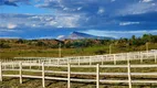 Foto 12 de Fazenda/Sítio à venda, 1000m² em Centro, Alpercata