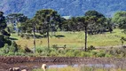 Foto 3 de Fazenda/Sítio à venda, 20000m² em Santa Tereza, Urubici