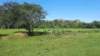 Foto 27 de Fazenda/Sítio à venda, 251500m² em Iguipora, Marechal Cândido Rondon