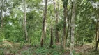 Foto 4 de Fazenda/Sítio à venda em Centro, Nossa Senhora do Livramento