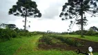 Foto 6 de Fazenda/Sítio com 2 Quartos à venda, 320m² em Colônia Murici, São José dos Pinhais