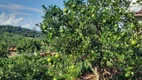 Foto 24 de Fazenda/Sítio com 2 Quartos à venda, 1000m² em Zona Rural, Londrina