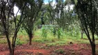 Foto 18 de Fazenda/Sítio com 3 Quartos à venda, 5000m² em Estância Vale das Brisas , Anápolis