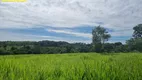 Foto 62 de Fazenda/Sítio com 3 Quartos à venda, 186300m² em Zona Rural, Bela Vista de Goiás