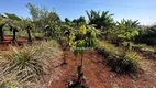 Foto 41 de Fazenda/Sítio com 2 Quartos para venda ou aluguel, 3034m² em , Ibiporã