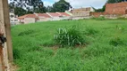 Foto 9 de Lote/Terreno à venda, 1140m² em CAMPO PEQUENO, Colombo