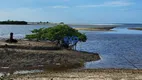 Foto 16 de Fazenda/Sítio com 1 Quarto à venda, 35000000m² em Centro, Humberto de Campos