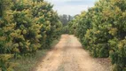 Foto 20 de Fazenda/Sítio com 5 Quartos à venda, 1760m² em Zona Rural, Porto Feliz