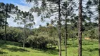 Foto 8 de Fazenda/Sítio à venda, 20000m² em Centro, Rio Rufino