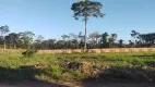 Foto 3 de Lote/Terreno à venda, 276m² em Portal da Amazonia, Rio Branco