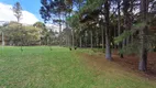 Foto 31 de Fazenda/Sítio com 4 Quartos à venda, 45728m² em Jardim Paulista, Campina Grande do Sul