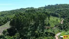 Foto 11 de Fazenda/Sítio à venda, 30000m² em Linha Olinda, Nova Petrópolis