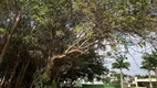 Foto 15 de Lote/Terreno à venda, 292m² em Jardim Pinheiros, Birigui