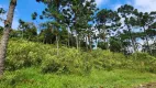 Foto 42 de Fazenda/Sítio com 5 Quartos à venda, 435600m² em Campo Alto, Tijucas do Sul