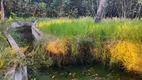 Foto 7 de Fazenda/Sítio com 3 Quartos à venda, 5000m² em Povoado Punau, Rio do Fogo