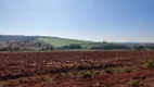 Foto 10 de Fazenda/Sítio à venda, 1700000m² em Zona Rural, Bom Despacho