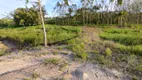 Foto 13 de Fazenda/Sítio com 2 Quartos à venda, 375m² em Zona Rural, São João do Itaperiú