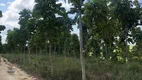 Foto 11 de Fazenda/Sítio à venda, 3000000m² em Zona Rural, Maceió