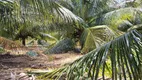 Foto 16 de Fazenda/Sítio com 4 Quartos à venda, 186000m² em Povoado Punau, Rio do Fogo