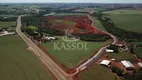 Foto 2 de Lote/Terreno à venda, 301m² em Recanto Tropical, Cascavel