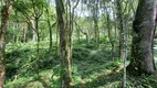 Foto 10 de Fazenda/Sítio à venda, 90000m² em Pedra Branca, Alfredo Wagner