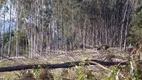 Foto 3 de Fazenda/Sítio com 1 Quarto à venda, 30m² em Caixa d Agua, Vinhedo