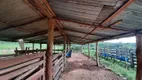 Foto 6 de Fazenda/Sítio com 3 Quartos à venda, 200m² em Zona Rural, Quadra