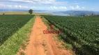 Foto 13 de Fazenda/Sítio com 1 Quarto à venda, 12380000m² em Bairro Rural, Pimenta