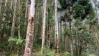 Foto 24 de Fazenda/Sítio à venda, 448000m² em Pedra Branca, Alfredo Wagner