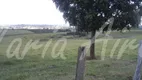 Foto 20 de Fazenda/Sítio à venda, 300m² em Area Rural de Sao Carlos, São Carlos