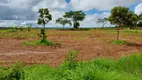 Foto 20 de Fazenda/Sítio à venda, 3300m² em Zona Rural, Aragoiânia