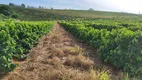 Foto 2 de Fazenda/Sítio com 3 Quartos à venda, 3000000m² em Zona Rural, Campestre