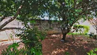 Foto 22 de Casa com 3 Quartos à venda, 247m² em Vila Costa do Sol, São Carlos